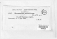 Image Associated With the Occurence